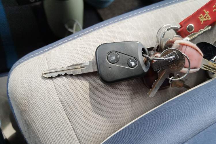 Used SRM New Energy E3L 2024 Standard Model