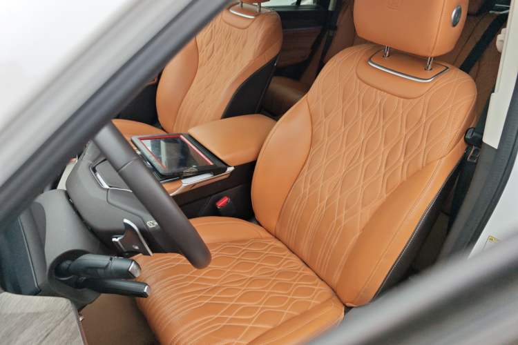 Used Tank 500 New Energy 2024 Hi4-T Left Front Seat