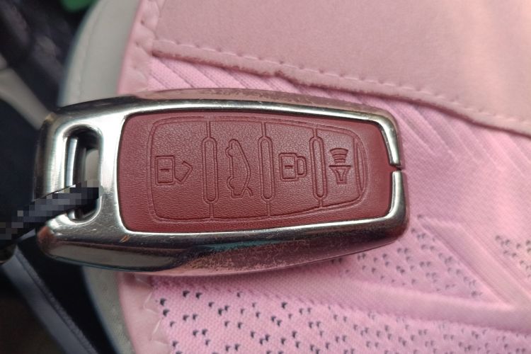 Used ORA White Cat 2020 305 km Luxury Version
