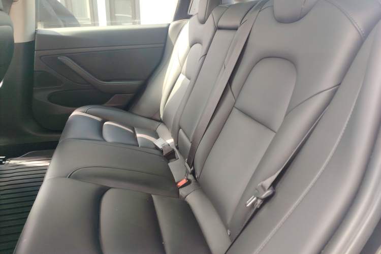 Used Tesla Model 3 2020 Revised Version Standard Range Rear-Wheel Drive – Upgraded Edition Left Rear Seat