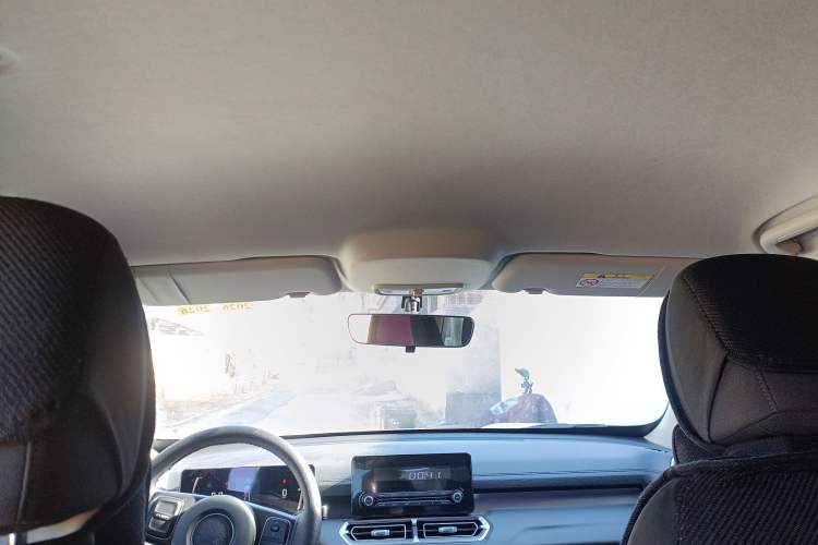 Used Great Wall King Kong Poer 2023 2.0T Manual Gasoline 4x4 Base-Trim Long-Box GW4C20C Headliner