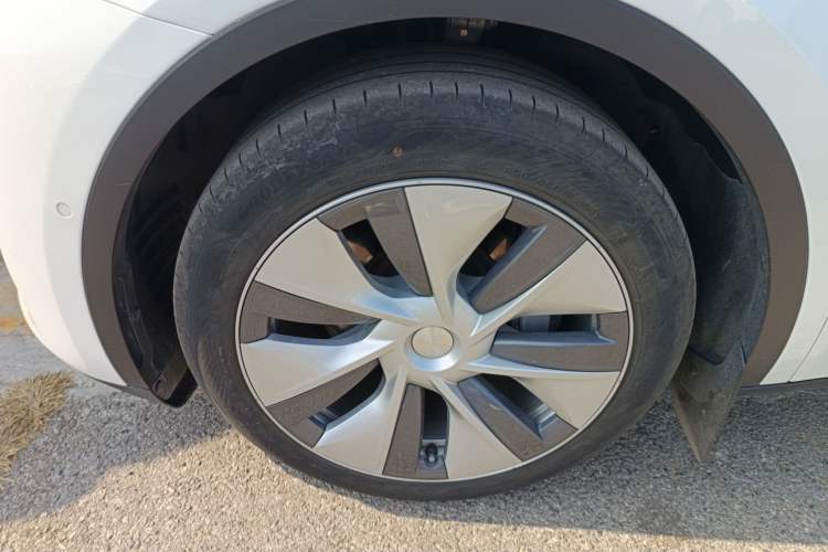 Used Tesla Model Y 2021 Revised Version 2 Long-Range All-Wheel-Drive Edition