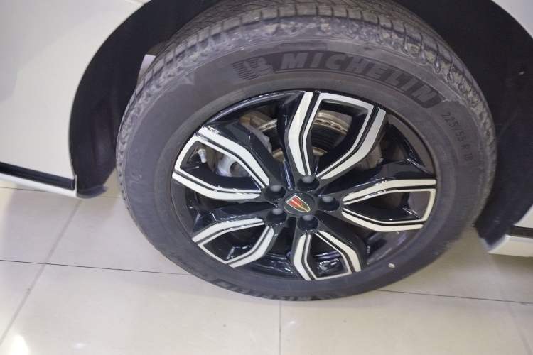 Used Hongqi HQ9 2023 2.0T Smart Connect Flagship Edition