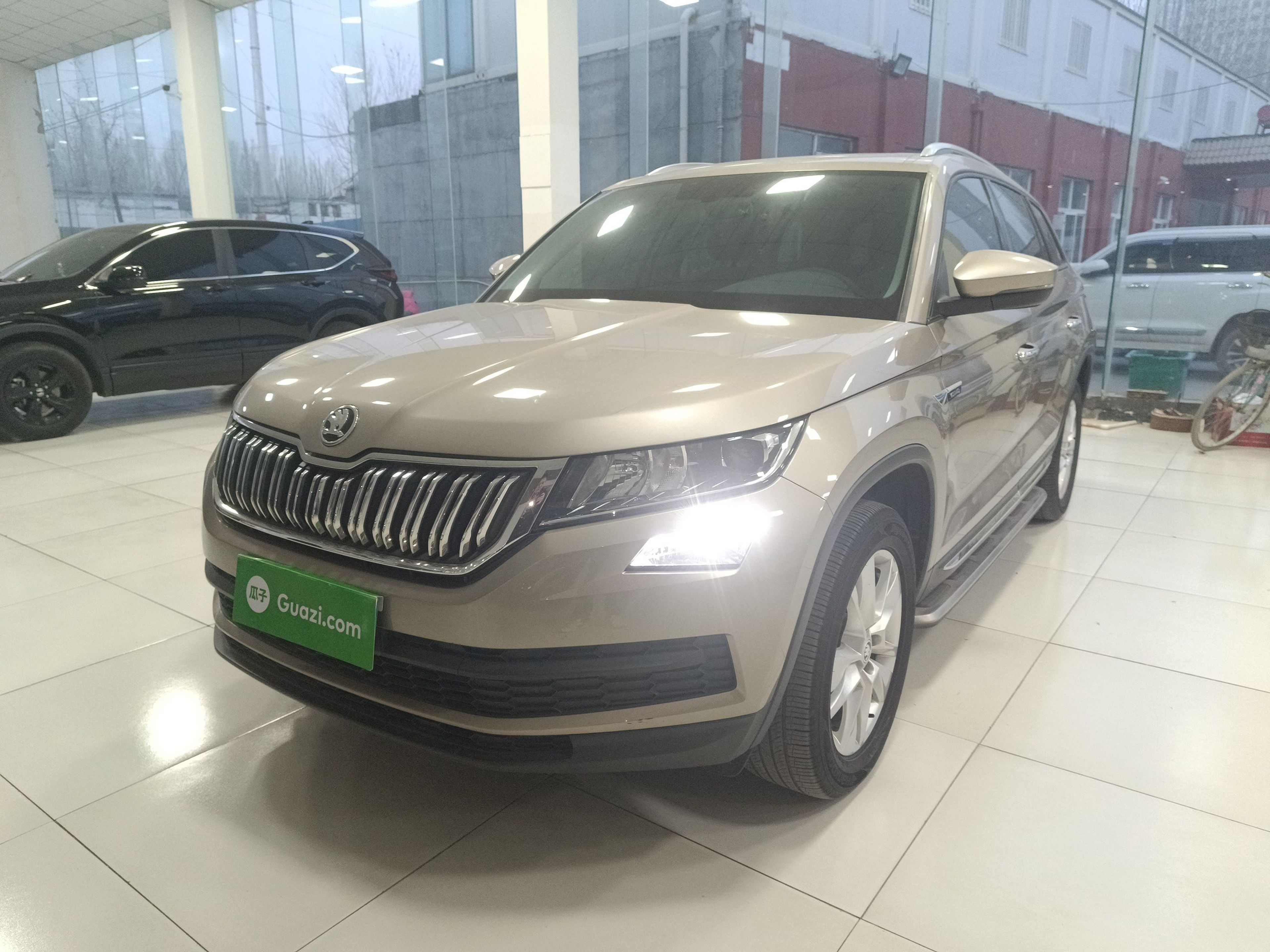 Parte inferior delantera