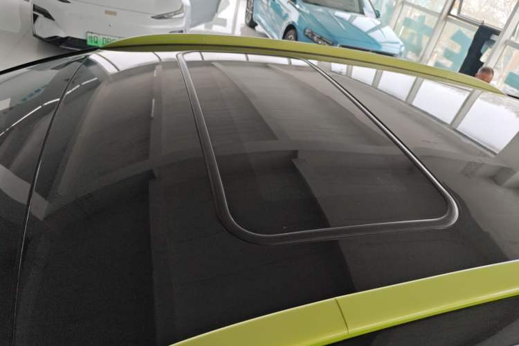 Used Geometry EX3 Kung Fu Cow 2021 Kungfu NiuNiu Roof