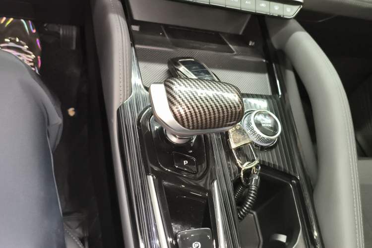 Used Geely Auto Monjaro L 2024 2.0TD High-Power Automatic Two-Wheel Drive Skyline Edition Gear Lever