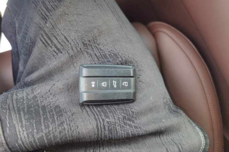 Used Tank 700 New Energy 2024 Hi4-T Extreme Edition