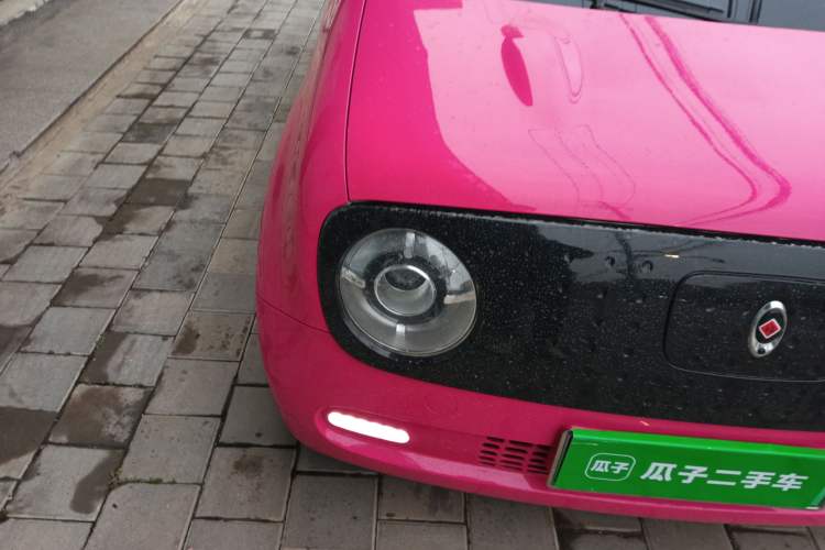 Used ORA Black Cat 2019 351 km Goddess Edition
