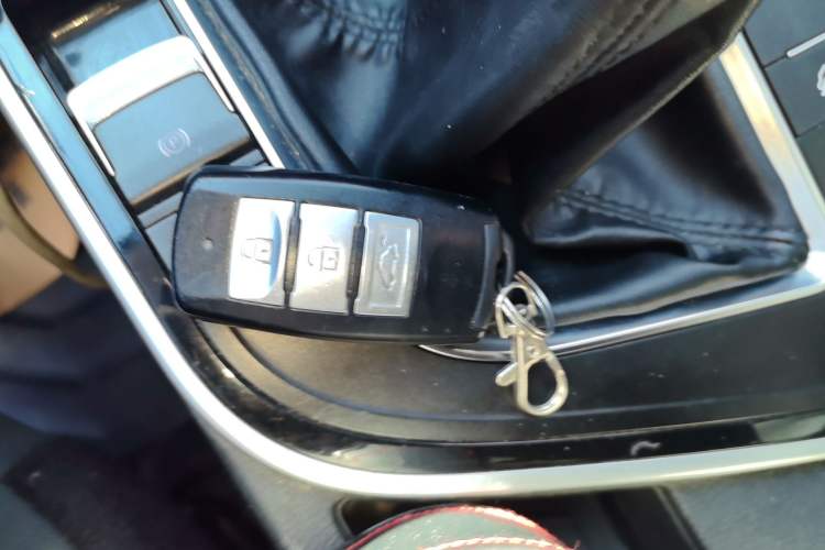 Used FORTHING T5L 2020 1.8T Manual Comfort 7-Seater China VI