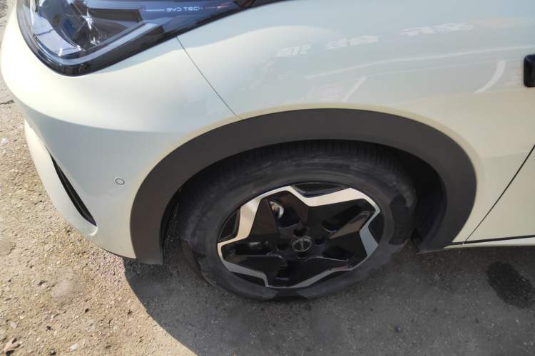 Used BYD Dolphin 2025 Smart Drive Version 420 km Freedom Edition