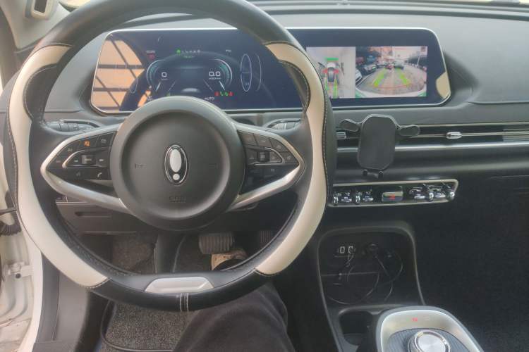 Used ORA Good Cat 2021 400km Standard Range Athena Edition Lithium Iron Phosphate