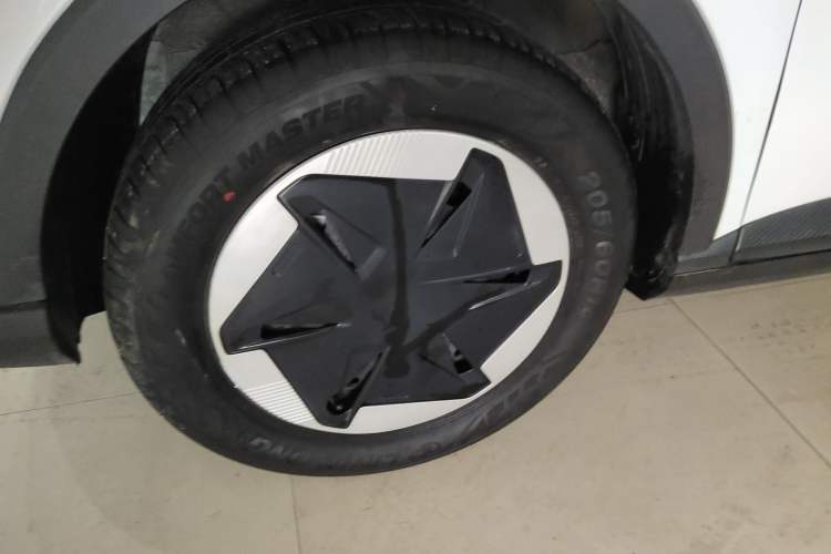 Used Geometry E Firefly 2024 301km Longteng Edition