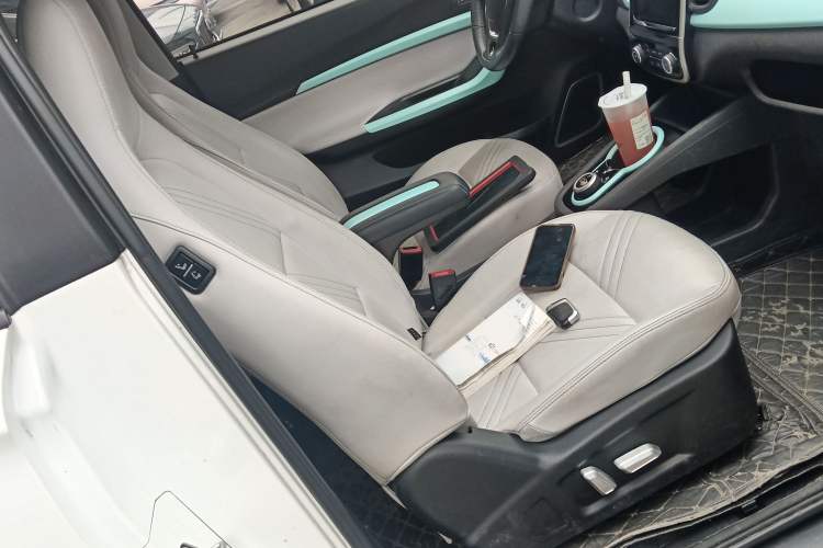 Used Chery New Energy Little Ant 2021 200 000-Yuan Ant Fan Edition Talent Version Lithium Iron Phosphate 301 km