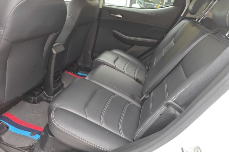 Used BYD Yuan New Energy 2019 EV535 Smart Connect Trendsetting Model Left Rear Seat