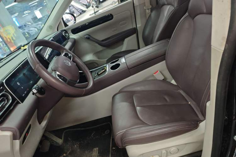 Used Leapmotor C11 2023 Pure Electric 500 Comfort Edition
