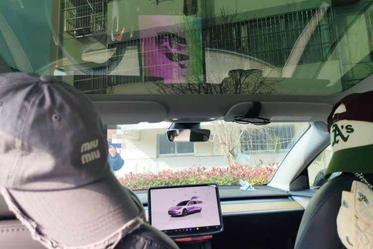 Used Tesla Model 3 2022 Rear-Wheel-Drive Version