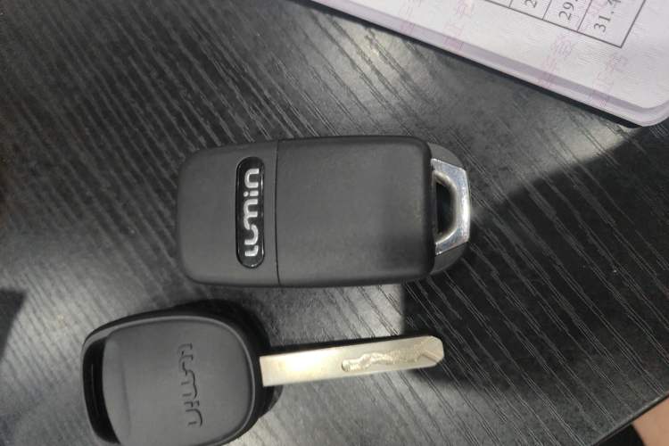 Used CHANGAN NEVO Lumin 2025 205 km Xiangqin Version
