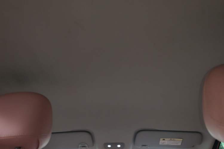 Used NETA V 2021 Witch Edition
