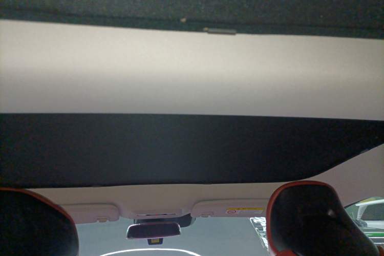 Used XPeng P7 2021 480N Headliner