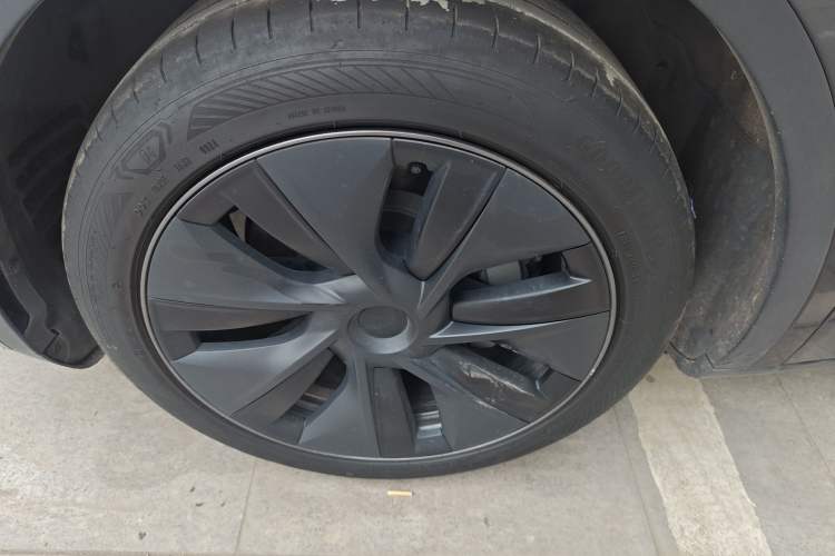 Used Tesla Model Y 2024 Rear-Wheel-Drive Version Exterior 4