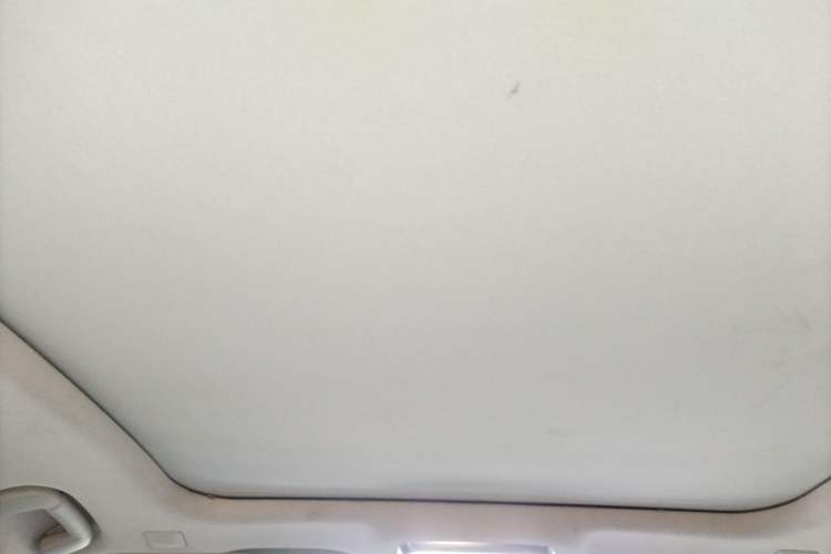 Used Hongqi H9 2020 2.0T Smart Connect Flagship Edition Headliner