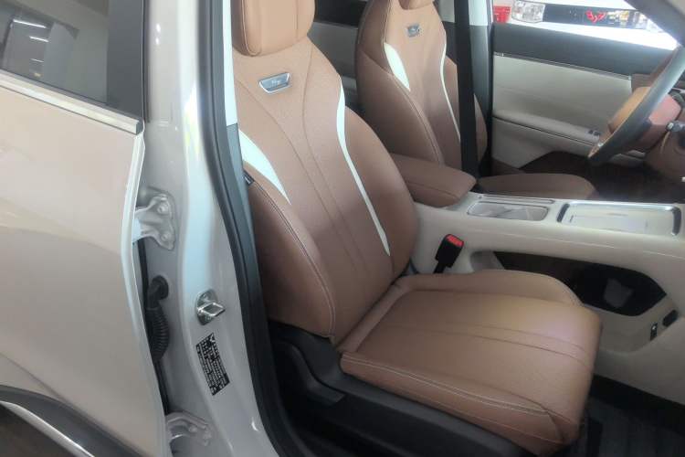 Used Wuling Bingo S 2025 Model 430km Flagship Edition Right Front Seat