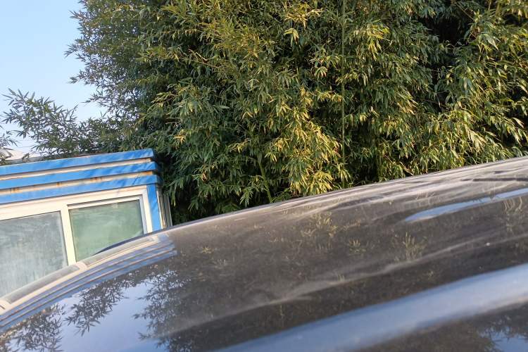 Used FORTHING CM7 2018 Classic Edition 2.0T Manual Luxury Model
