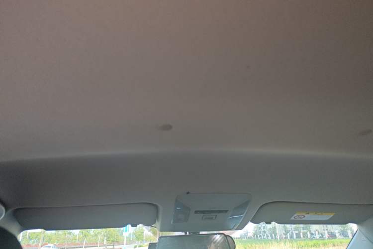 Used Toyota Wildlander 2022 2.0L CVT Two-Wheel Drive Leading Edition Headliner