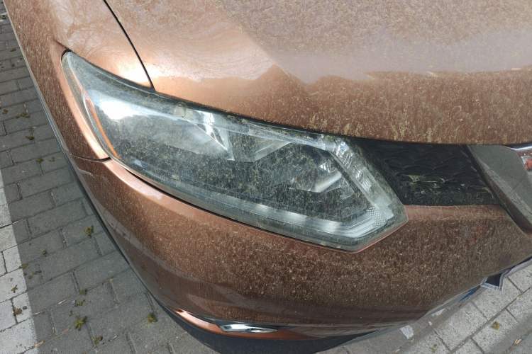 Used Nissan X-Trail 2015 2.0L CVT Comfort MAX Edition 2WD Right Front Headlight