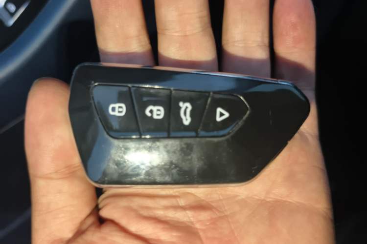 Used Geometry E Firefly 2022 401KM Lightning Tiger 4-Seater
