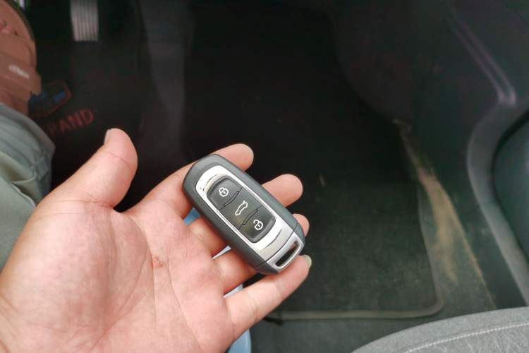 Used Geely Auto Panda 2024 Panda Mini 200km Endurance Bear