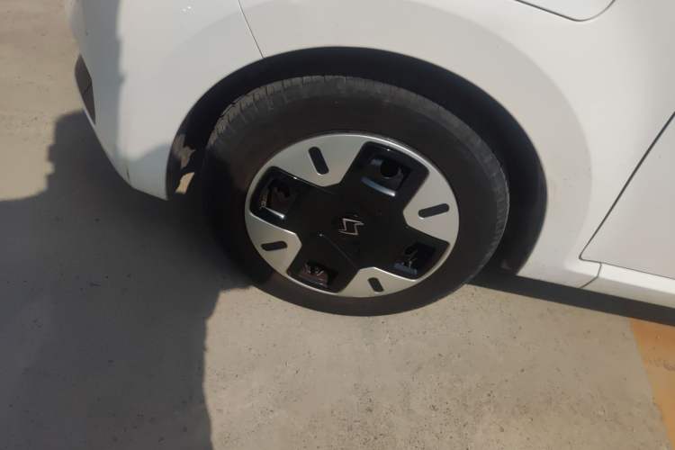 Used SOL E10X 2022 Flower Fairy Design Four-Leaf Clover