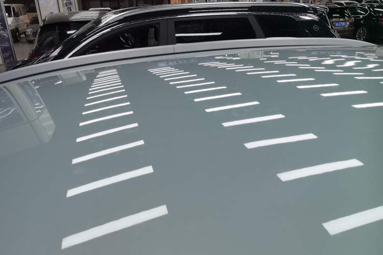 Used Geometry E Firefly 2022 320KM Cute Tiger 4-Seater