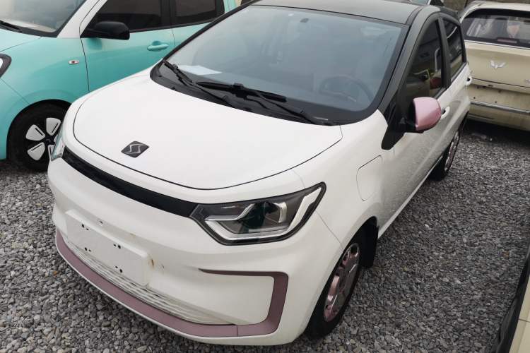 Used SOL E10X 2022 Flower Fairy Design Sunflower