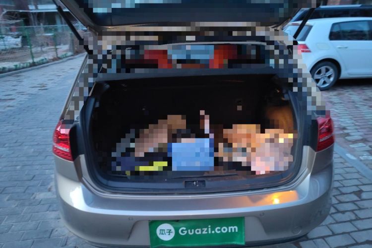 Used Volkswagen Golf 2016 1.6L Automatic Comfort Model Trunk