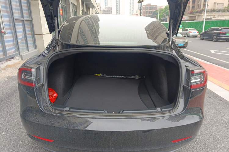 Used Tesla Model 3 2020 Standard Range Rear-Wheel Drive Upgraded Version