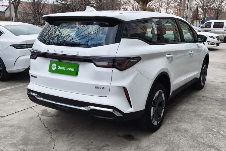 Used Livan Maple 80v L 2024 515 km Range 7 Seats
