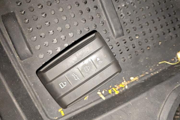 Used Tank 400 2025 2.0T Gasoline Version
