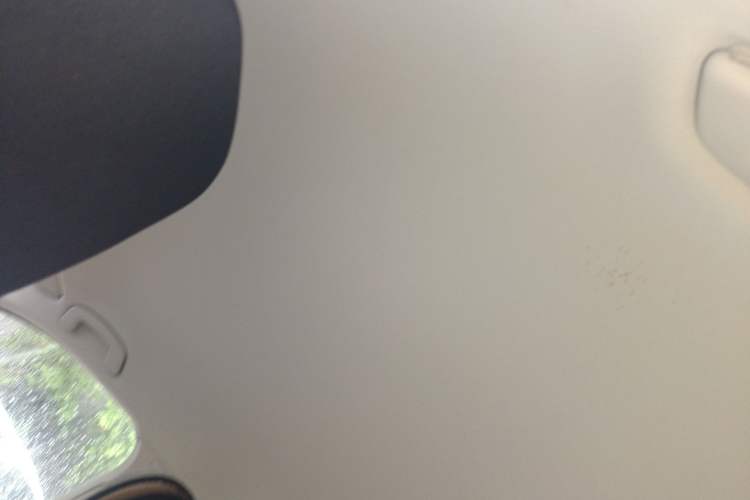 Used Volkswagen Lavida 2019 1.5L Automatic Fashion Edition China VI Headliner