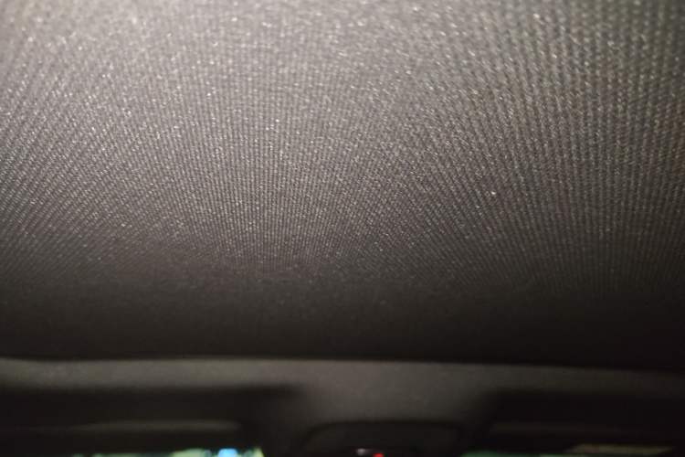 Used Audi A6L New Energy 2020 55 TFSI e quattro Headliner