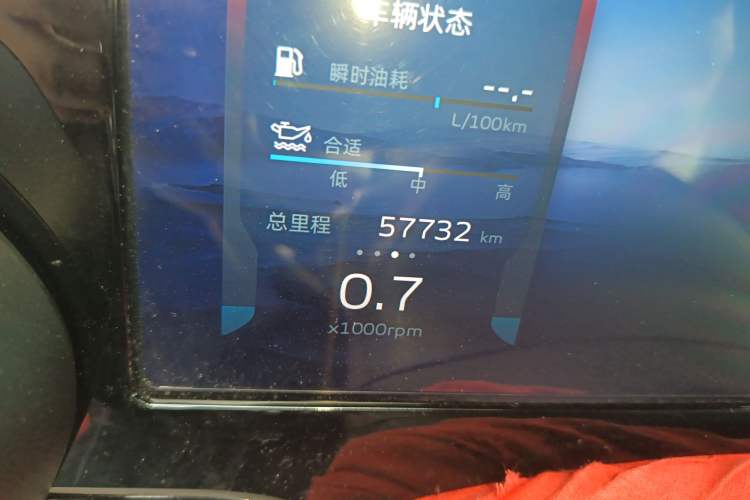 Used Geely Auto Monjaro L 2021 2.0TD DCT EVO Two-Wheel Drive Prestige Version
