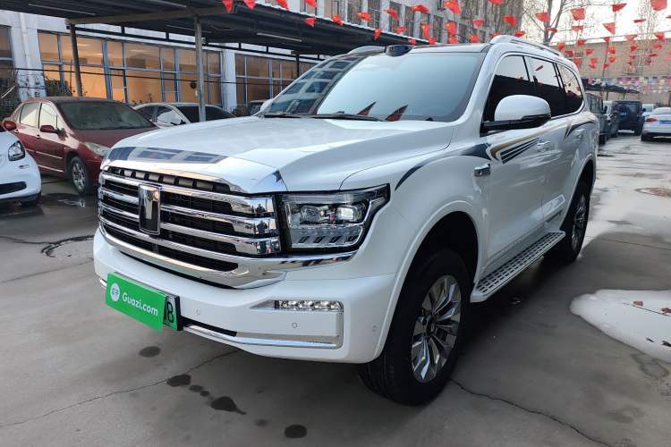 Used Tank 500 New Energy 2026 Model—Hi4-Z Smart Enjoyment Version