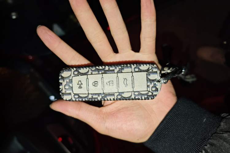 Used Wey VV6 2018 2.0T Four-Wheel Drive Flagship Version China V Standard Vehicle Key