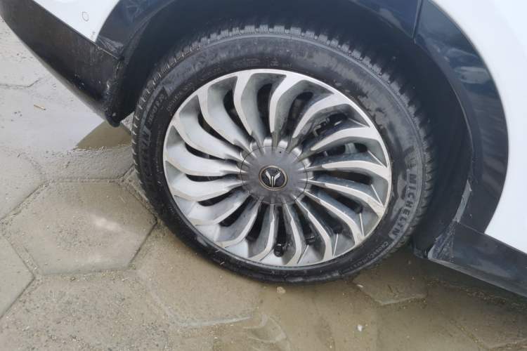 Used VOYAH FREE 2021 Four-Wheel Drive Standard Range-Extended Exclusive Luxury Package