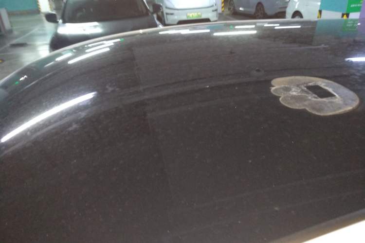 Used Chery New Energy Little Ant 2022 Me 301km Romance Phosphate Lithium-Iron