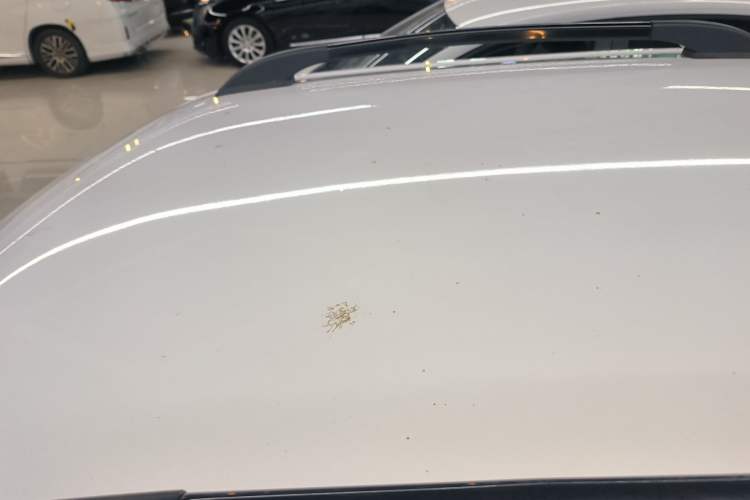 Used Wuling Hongguang MINIEV 2020 Freedom Version Lithium Iron Phosphate