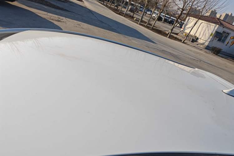 Used SOL E10X 2022 Flower Fairy Design Sunflower