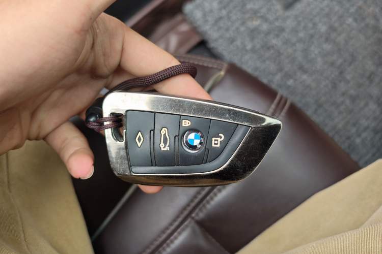 Used BMW 5 Series New Energy 2019 530Le Luxury Package