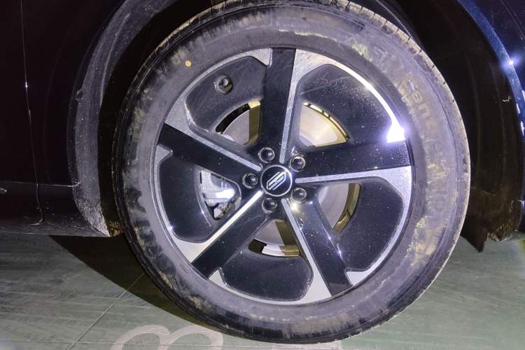 Used Hima H5 2025 Model Pure Electric Max Long Range
