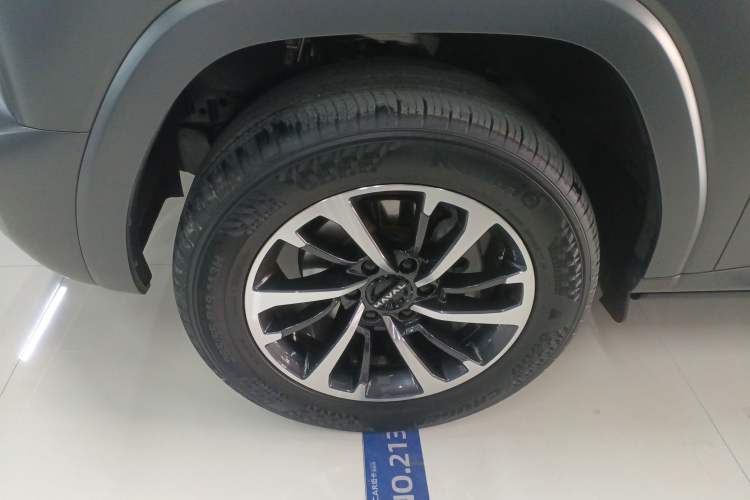 Used Haval H9 2024 2.0T Gasoline All-Wheel-Drive Extreme Edition